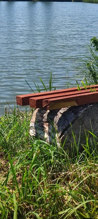 Łowisko karpiowe karp wędkowanie