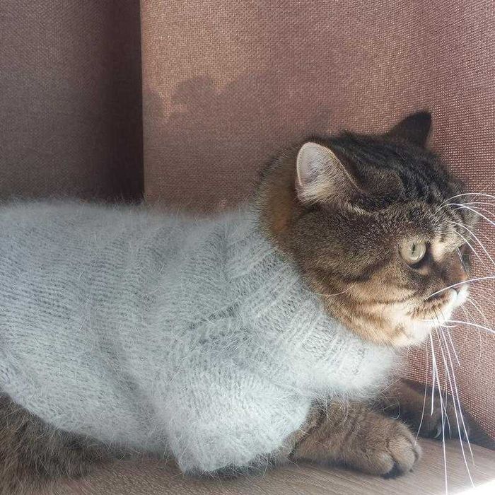 Пуховый свитер для кота или собаки