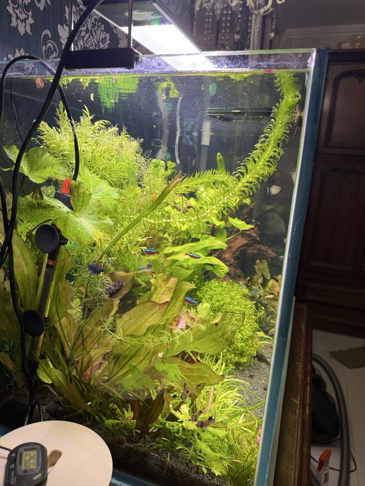 Продам акваріум 160 літрів
