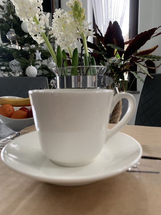 Filiżanka Villeroy & Boch