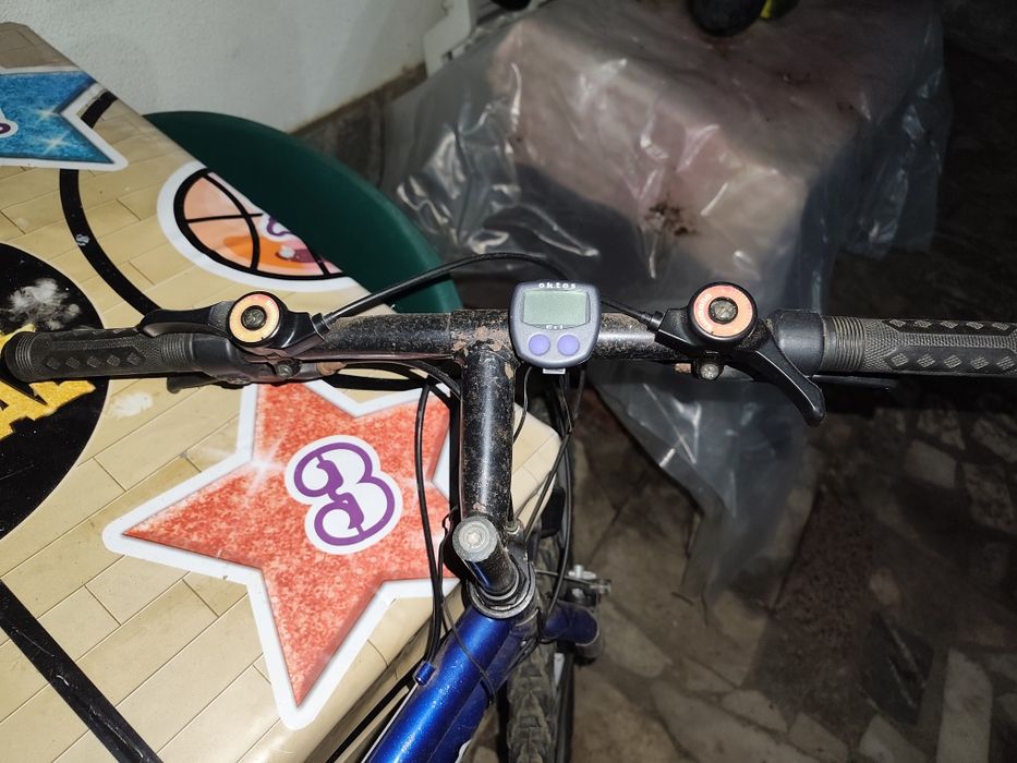 Bicicleta adulto