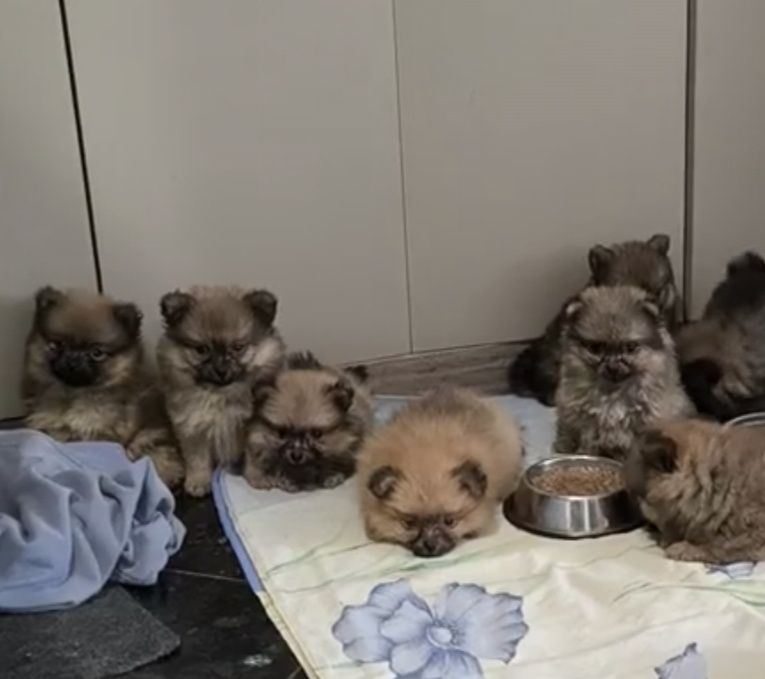 Класний! Дівчинка! Хлопчик