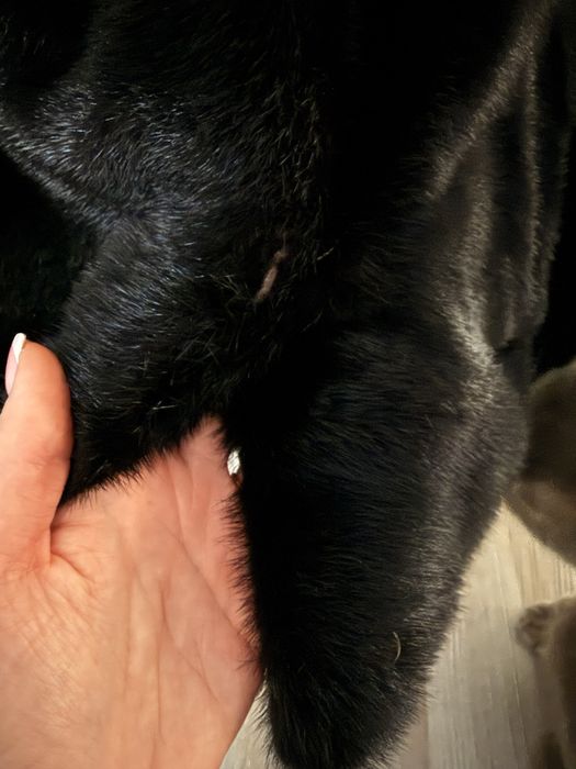 Шуба норкова автоледі s-m