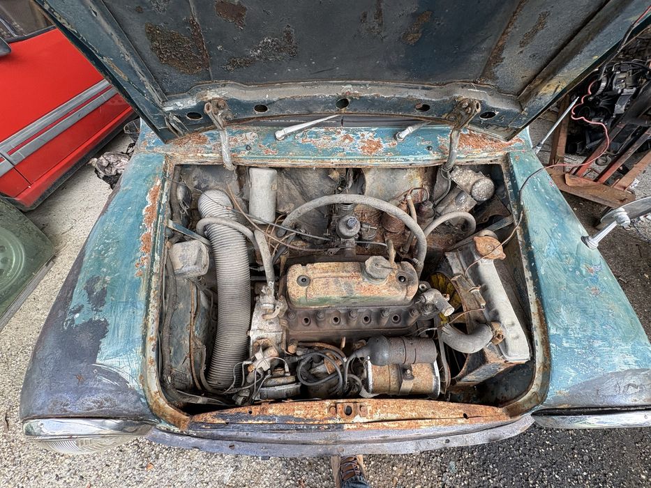 Wolseley Hornet / mini