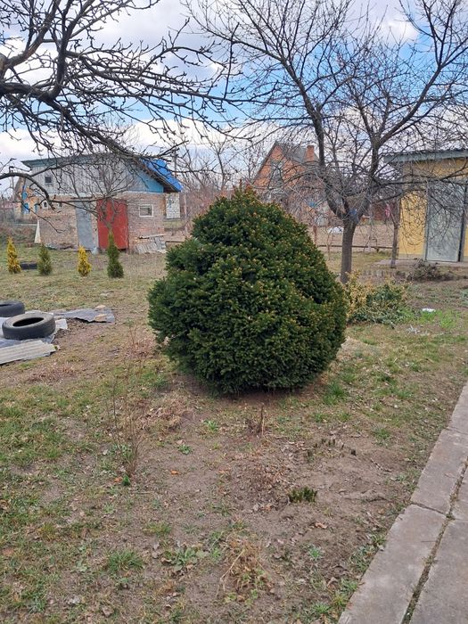 Продається дача на масиві Прикордонник