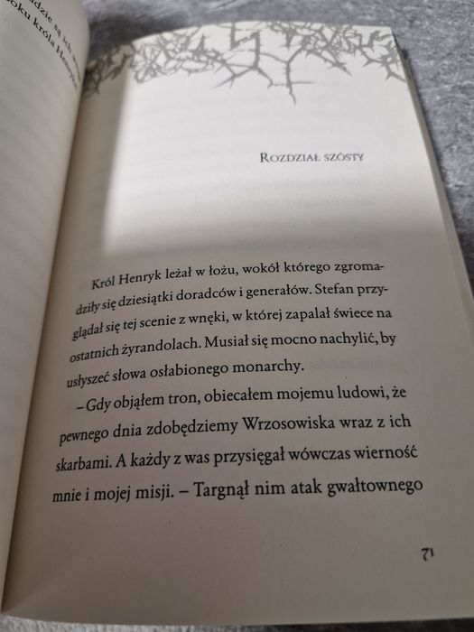 Czarownica Prawdziwa historia Diaboliny Jakub Polkowski