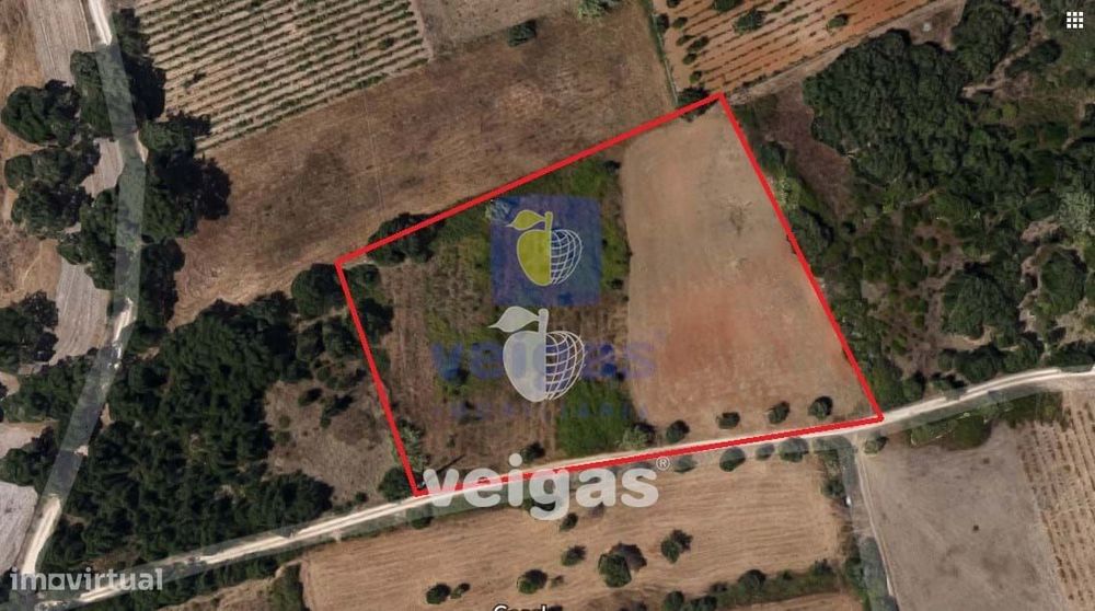 Terreno Pontével — Cartaxo E Vale Da Pinta, Santarém