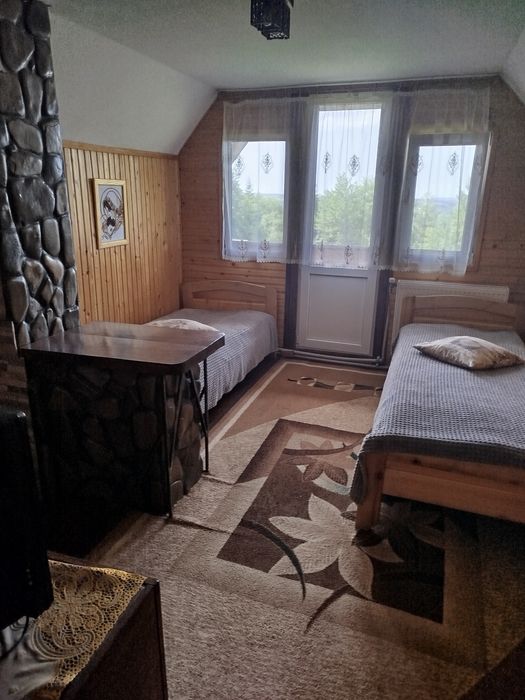 Відпочинок у Карпатах