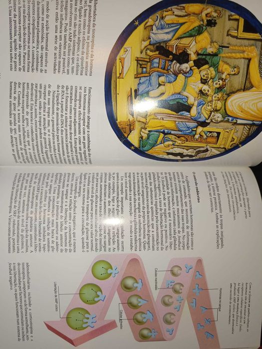 O Corpo Humano Coleção