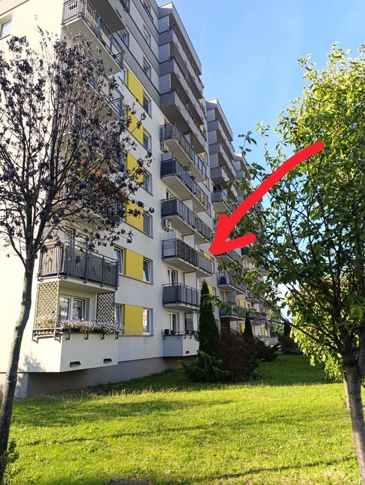 Zdjęcie 7