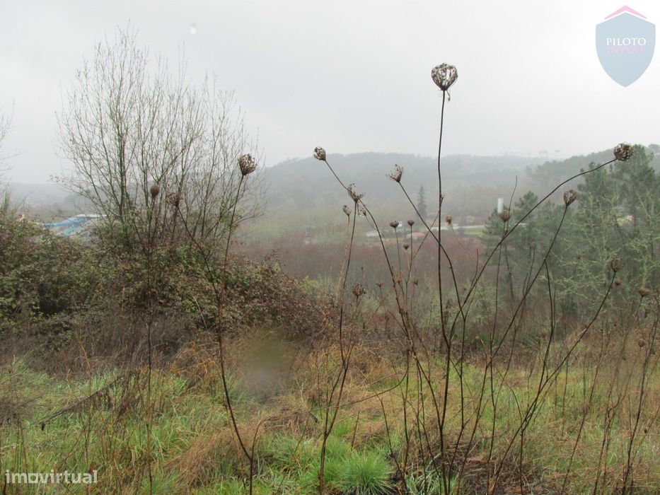 Land for Sale in Calde, Viseu