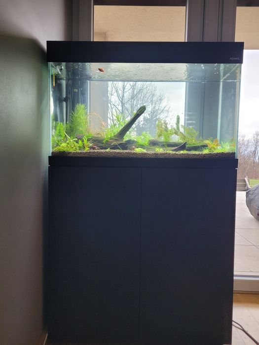 Akwarium optiwhite 125 litrów Opti Set 125