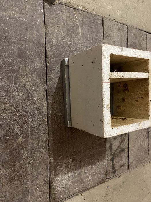 Нуклеси для  облета  маток