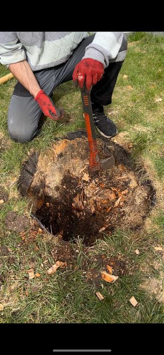 Щепування, подрібнення гілок, розліснення, чистка ділянки