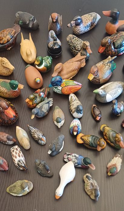 Patos Conjunto em excelente estado