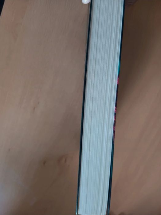 Livro: A Fogueira das Mentiras