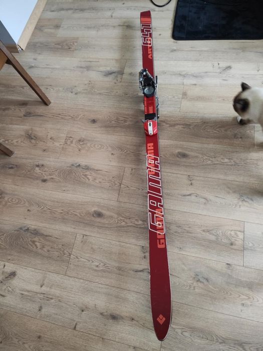 Narty Gama Artis kijki polsport