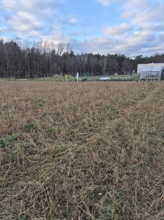 Sprzedam działkę Turzno koło Ciechocinka