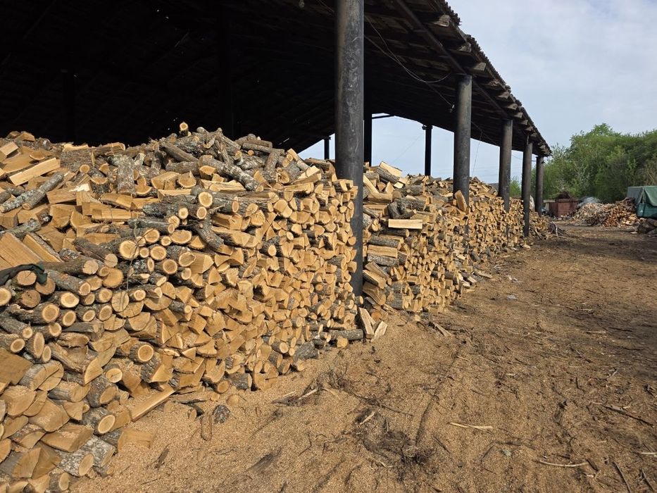 Якісні дубові, березові, вільхові дрова без передплат та посередників за мінімальними цінами. Телефонуйте.
