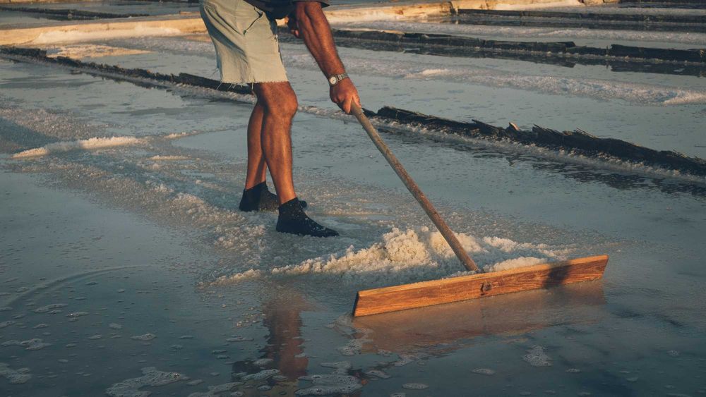 Serviços Fotográficos -