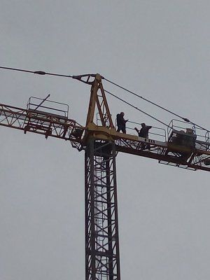 кран баштовий FM 1245 CTY