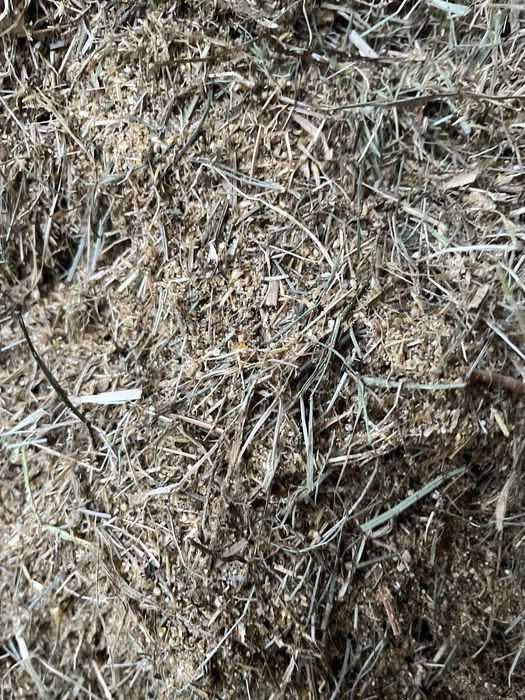 SUCHY TMR ,Pasza dla cieląt