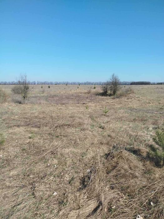 Продам ділянку (8289)