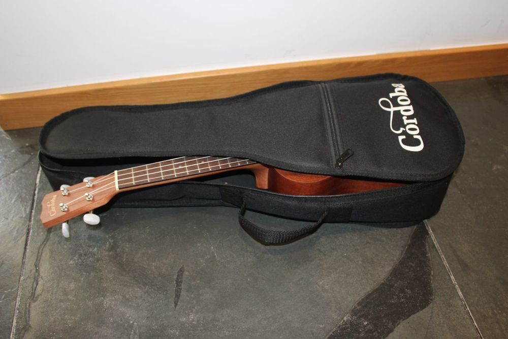 Ukulele instrumento musical