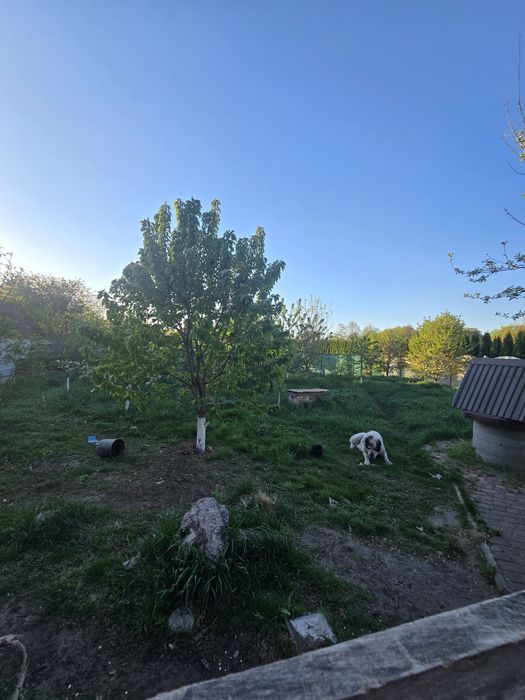 Продаж будинку з сауною і чаном в с.Фурси