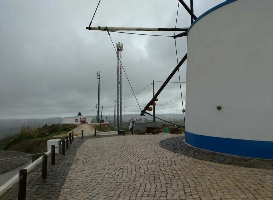 Calceteiro/ Pavimentos/ Remodelações/Calçada portuguesa /Pavê/ Jardim