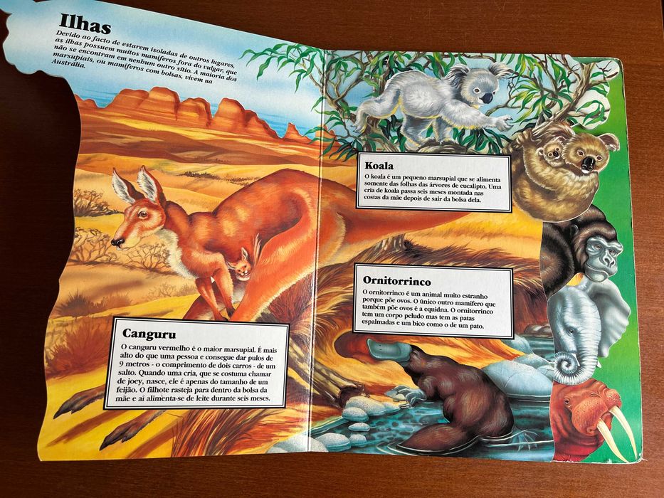 Mamíferos na Ponta dos Dedos