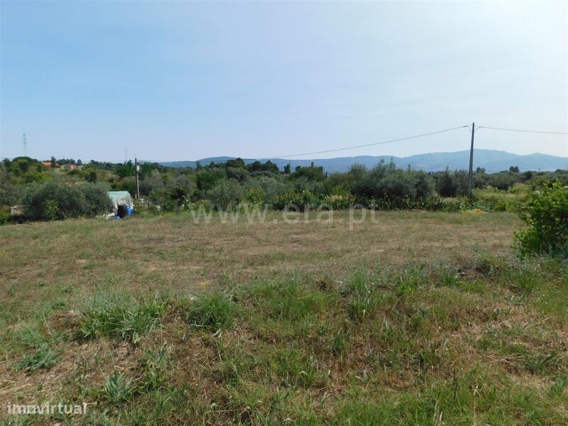 Terreno Rústico / Fundão, Pêro Viseu