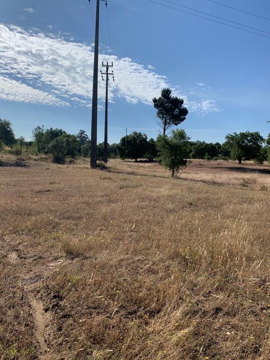 Quinta do anjo/Palmela Terreno Urbano 9625m2 Palmela • OLX Portugal