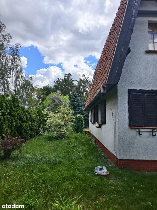 Na sprzedaż dom letniskowy nad jeziorem w Boszkowie.