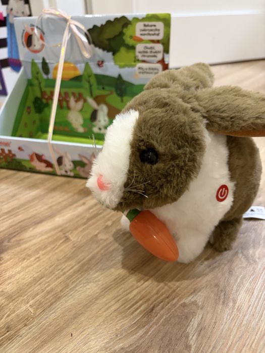 Interaktywny króliczek