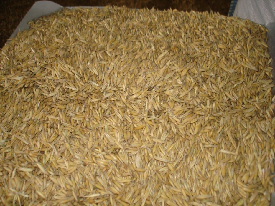 owies 650, jęczmień 800