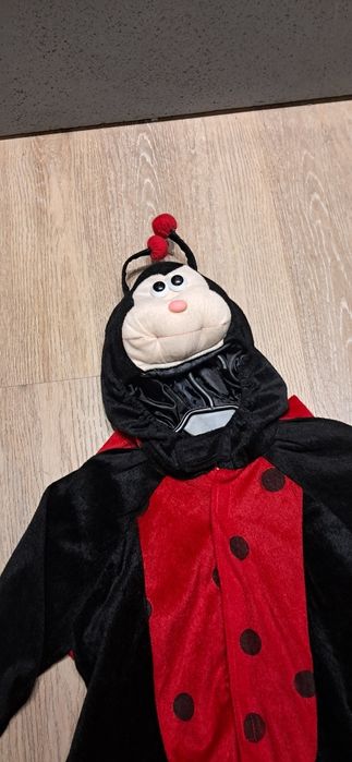 Strój przebranie kostium biedronka