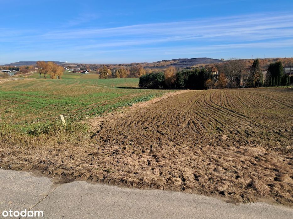 Działka w Połomi