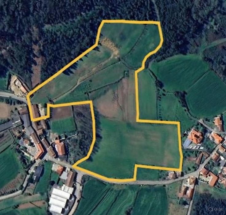 Alugo terreno 6 hectares