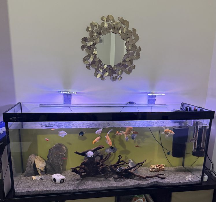 Aquario 120 x 50 x 50