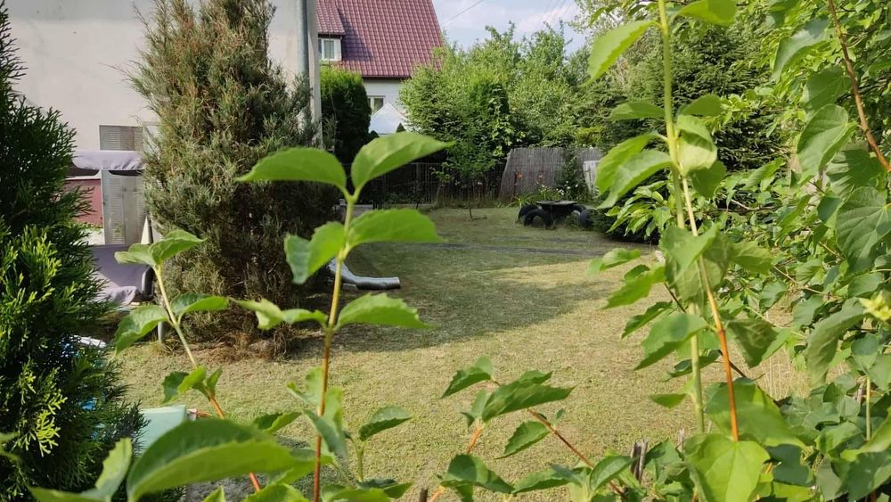 Mieszkanie  bezczynszowe z ogródkiem