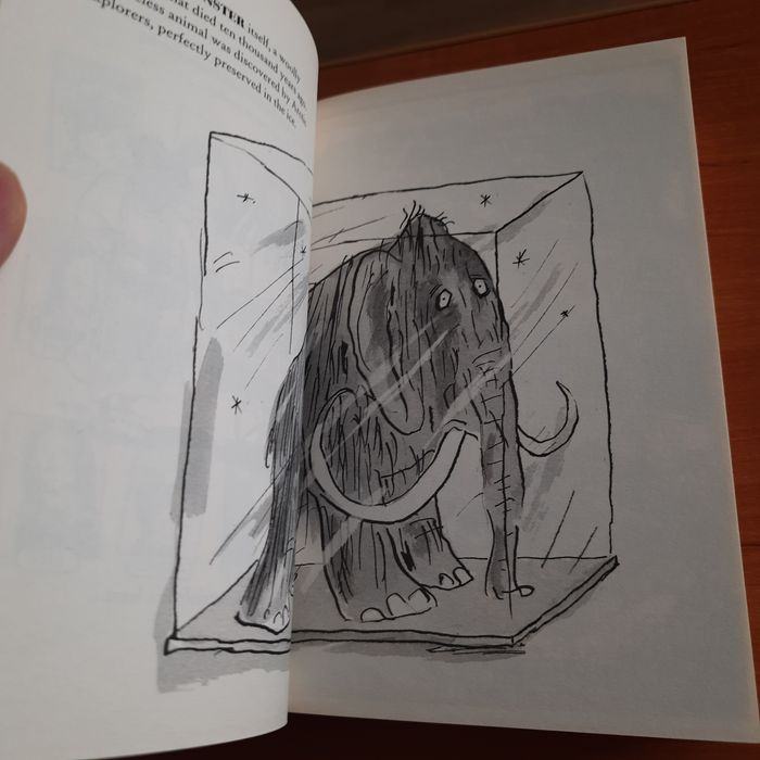 The Ice Monster David Walliams Ледяной монстр книга на английском