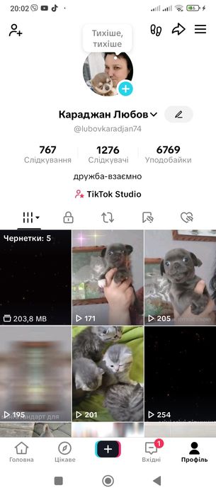 Ліловий красень чіх