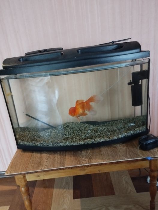 Продам Акваріум  в гарному стані