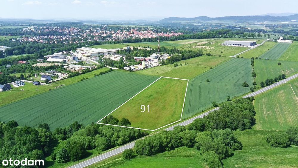 Na Sprzedaż Grunt Pod Produkcję i Usługi przy DK 33