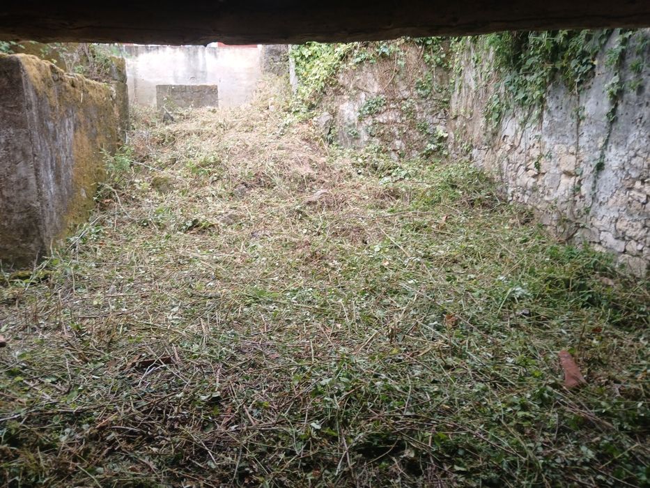 Limpeza de terrenos e manutenção jardins