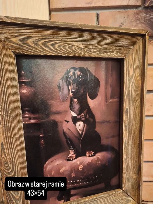 Pan Jamnik w rustykalnej odslonir