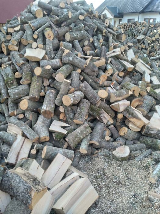 Drewno opałowe sosna iglaste buk liściaste