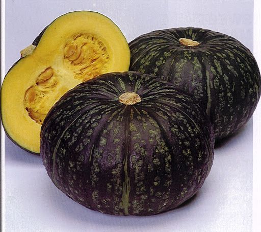 5 Sementes de Abóbora Delica - Cucurbita maxima