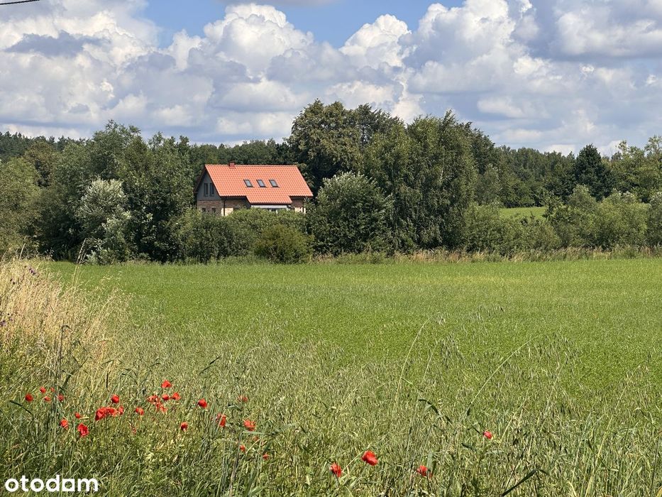 Dom z duszą – wysoki salon, cegła, drewno, Natura 2000, 5 min od plaży - Widok 2